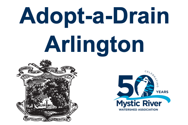 Adopt-a-Drain Arlington