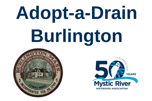 Adopt-a-Drain Burlington