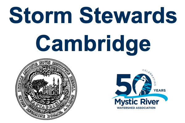 Storm Stewards Cambridge