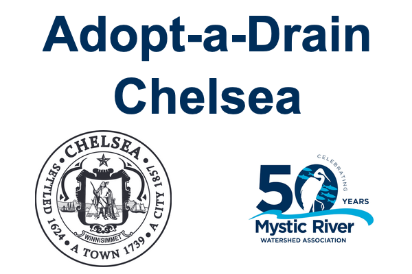 Adopt-a-Drain Chelsea