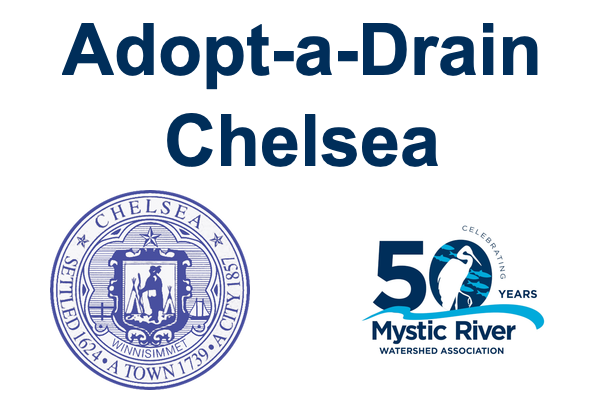 Adopt-a-Drain Chelsea