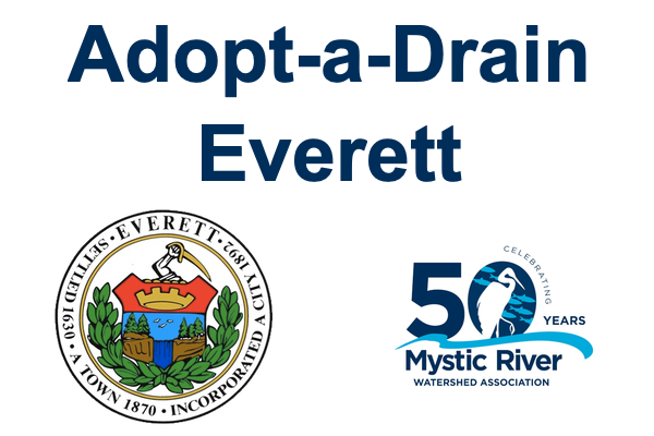 Adopt-a-Drain Everett