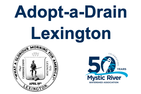 Adopt-a-Drain Lexington