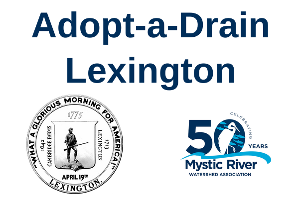 Adopt-a-Drain Lexington
