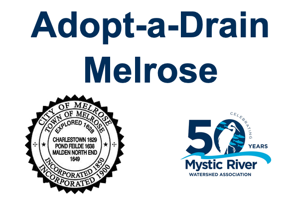 Adopt-a-Drain Melrose