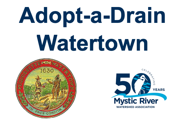 Adopt-a-Drain Watertown